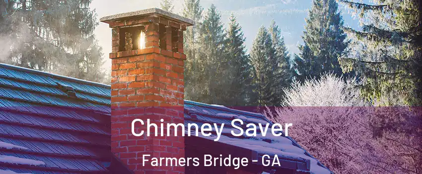 Chimney Saver Farmers Bridge - GA