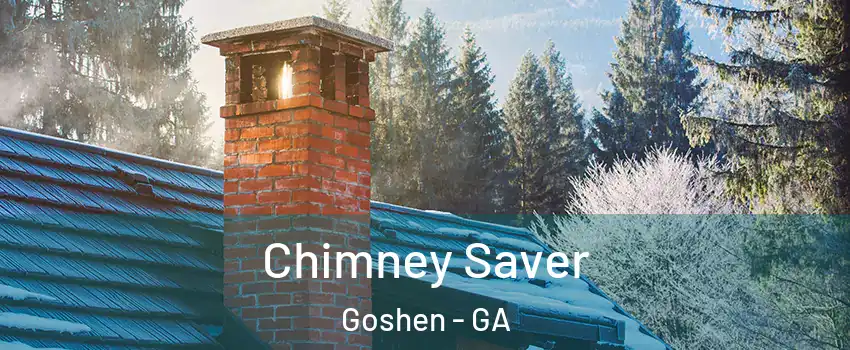 Chimney Saver Goshen - GA