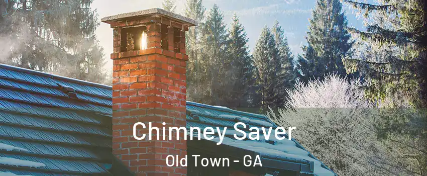 Chimney Saver Old Town - GA
