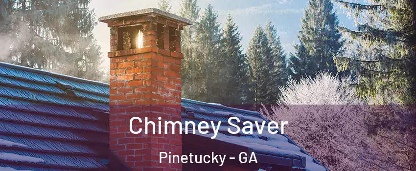 Chimney Saver Pinetucky - GA