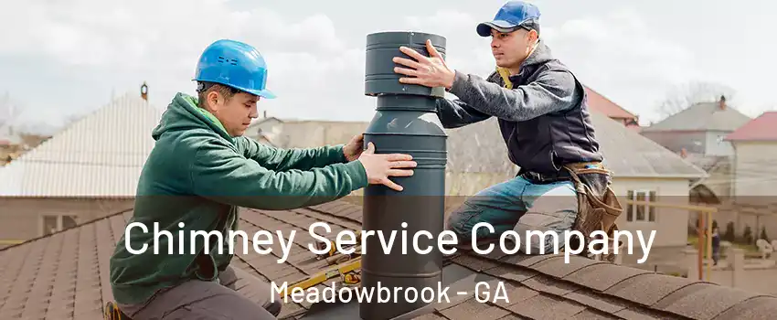 Chimney Service Company Meadowbrook - GA