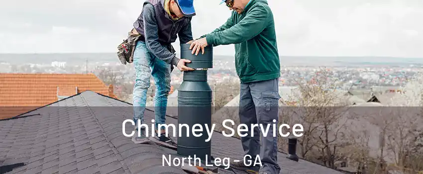 Chimney Service North Leg - GA