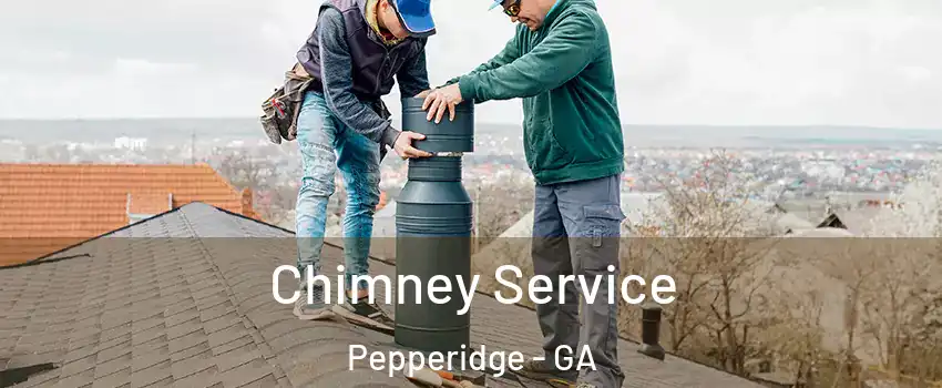 Chimney Service Pepperidge - GA