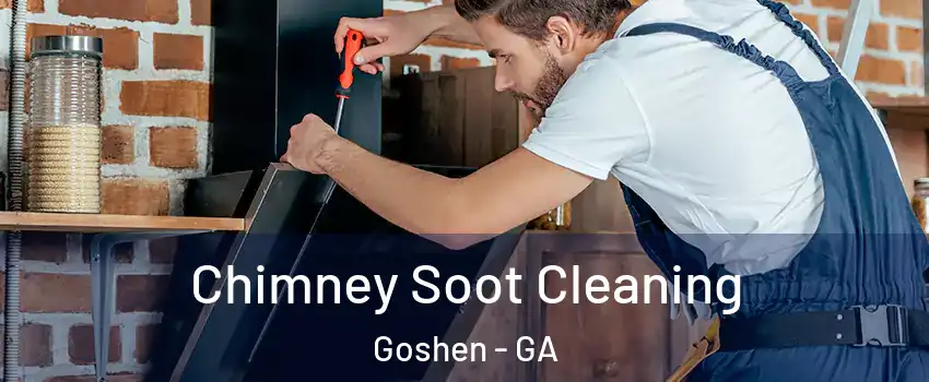 Chimney Soot Cleaning Goshen - GA