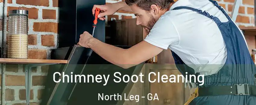 Chimney Soot Cleaning North Leg - GA