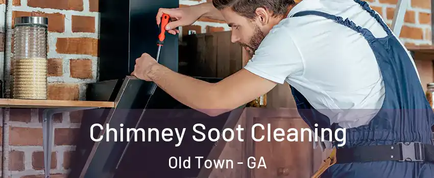 Chimney Soot Cleaning Old Town - GA