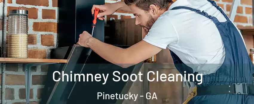 Chimney Soot Cleaning Pinetucky - GA