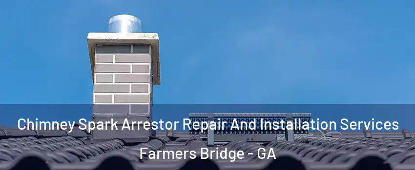 Chimney Spark Arrestor Repair And Installation Services Farmers Bridge - GA