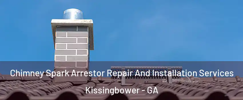 Chimney Spark Arrestor Repair And Installation Services Kissingbower - GA