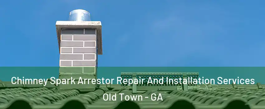 Chimney Spark Arrestor Repair And Installation Services Old Town - GA
