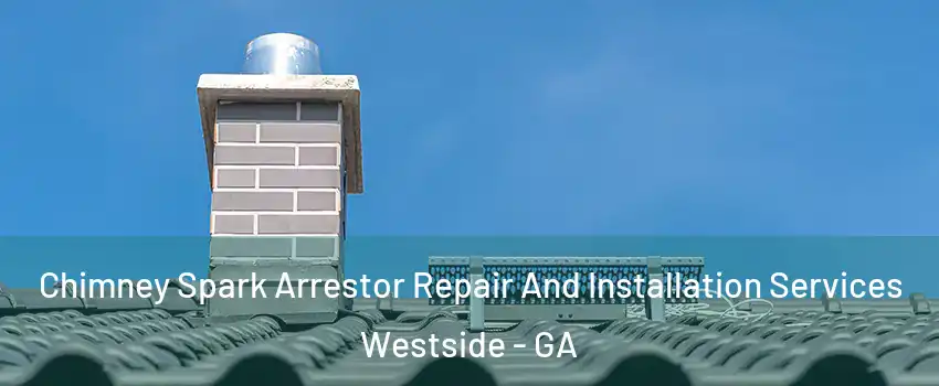 Chimney Spark Arrestor Repair And Installation Services Westside - GA