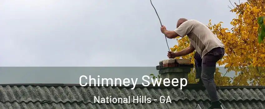 Chimney Sweep National Hills - GA