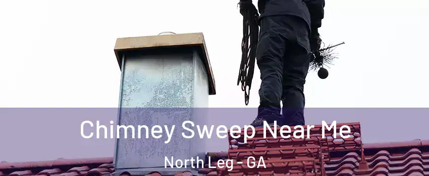 Chimney Sweep Near Me North Leg - GA