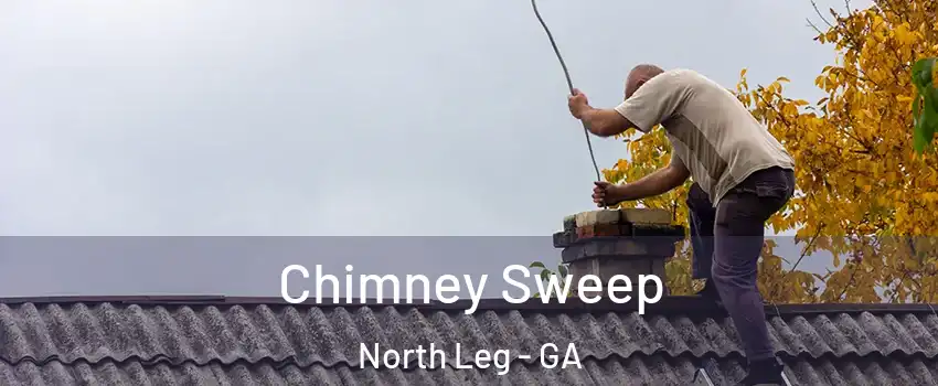 Chimney Sweep North Leg - GA