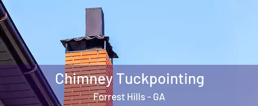 Chimney Tuckpointing Forrest Hills - GA