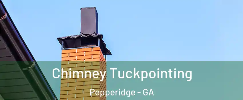 Chimney Tuckpointing Pepperidge - GA