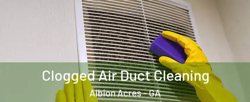 Clogged Air Duct Cleaning Albion Acres - GA