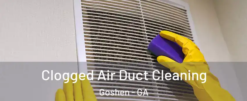 Clogged Air Duct Cleaning Goshen - GA