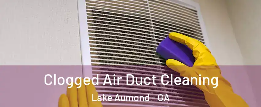 Clogged Air Duct Cleaning Lake Aumond - GA