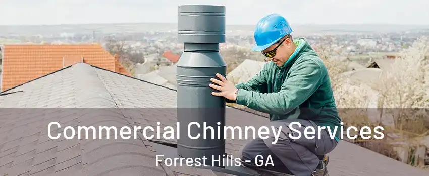 Commercial Chimney Services Forrest Hills - GA