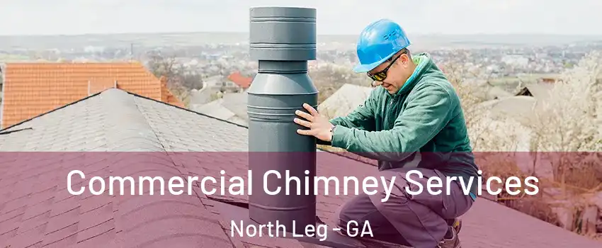 Commercial Chimney Services North Leg - GA