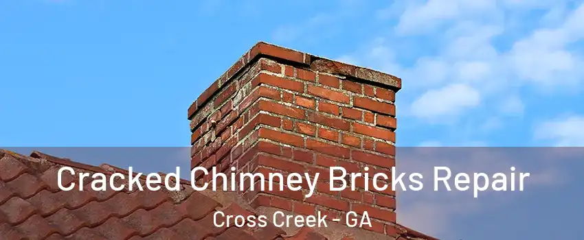 Cracked Chimney Bricks Repair Cross Creek - GA