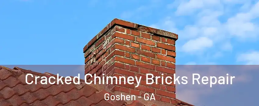 Cracked Chimney Bricks Repair Goshen - GA