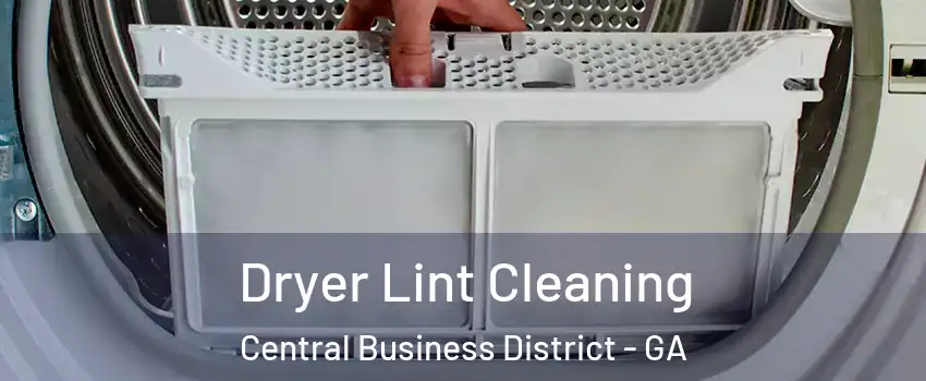 Dryer Lint Cleaning Central Business District - GA