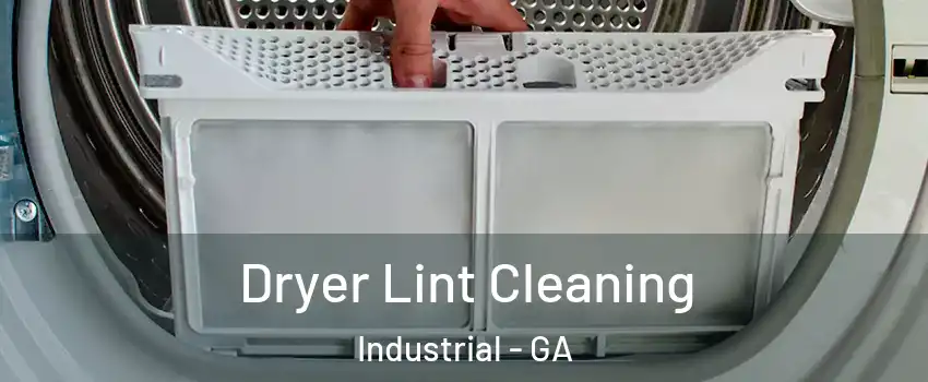 Dryer Lint Cleaning Industrial - GA