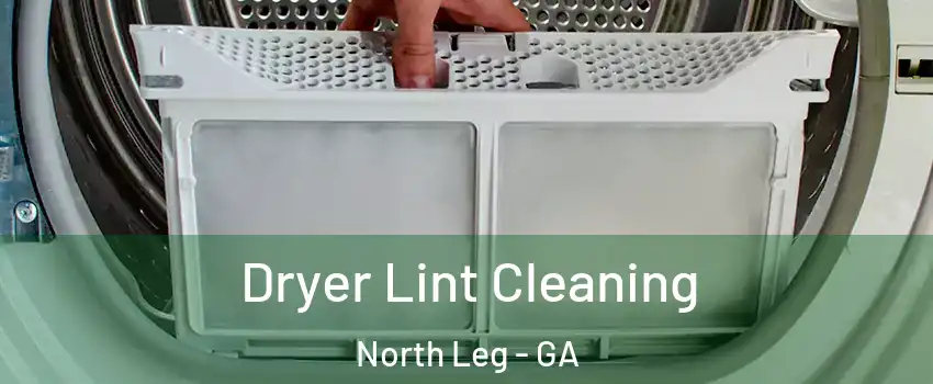 Dryer Lint Cleaning North Leg - GA