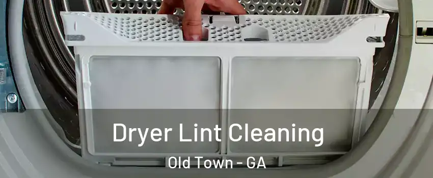 Dryer Lint Cleaning Old Town - GA