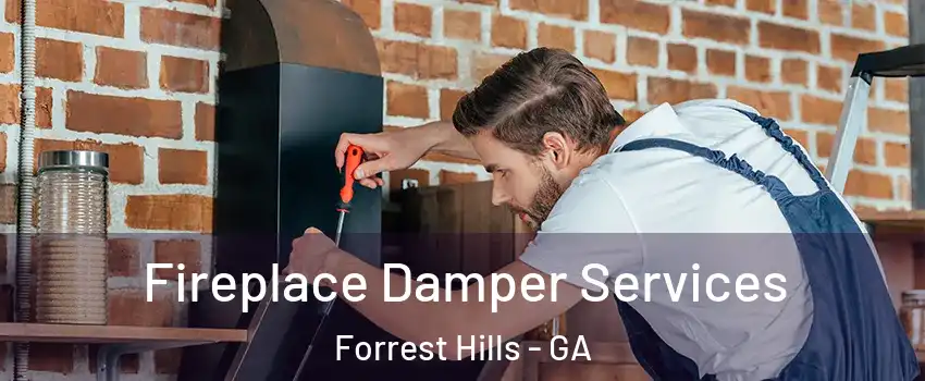 Fireplace Damper Services Forrest Hills - GA