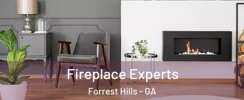 Fireplace Experts Forrest Hills - GA