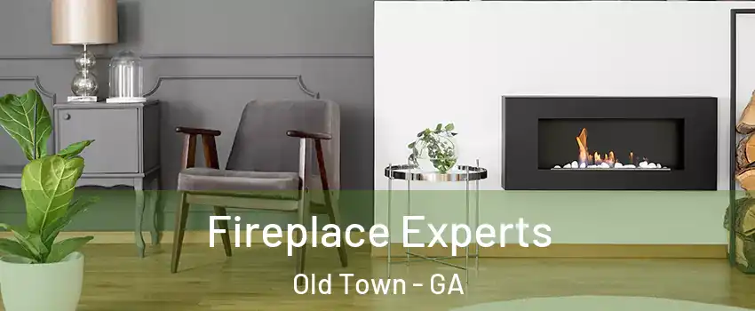 Fireplace Experts Old Town - GA
