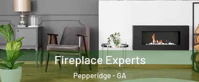 Fireplace Experts Pepperidge - GA