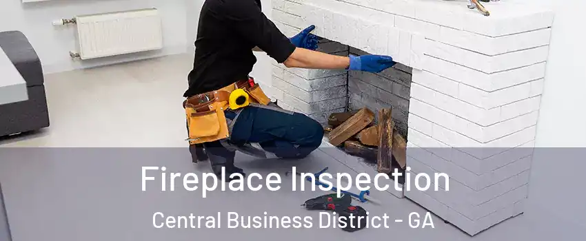 Fireplace Inspection Central Business District - GA