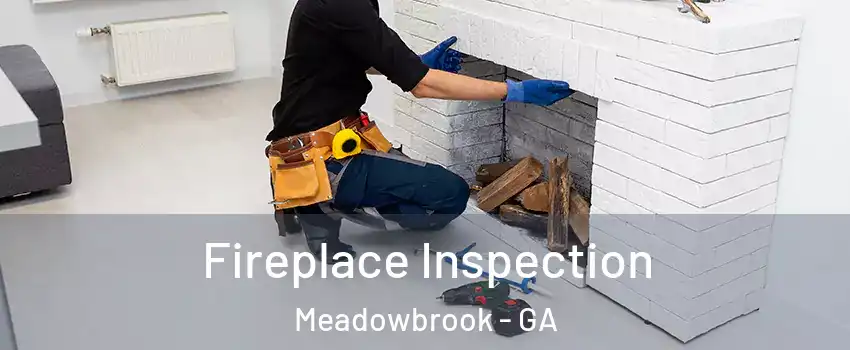 Fireplace Inspection Meadowbrook - GA