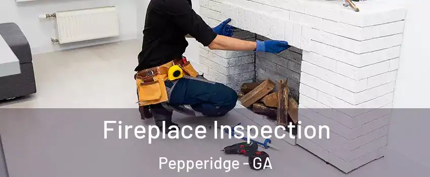 Fireplace Inspection Pepperidge - GA