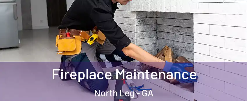 Fireplace Maintenance North Leg - GA