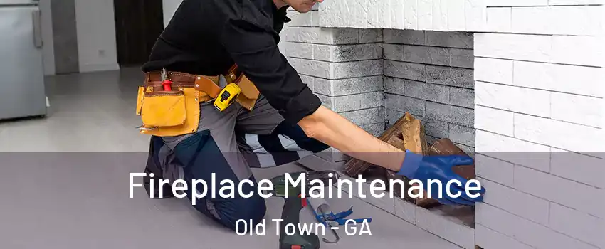 Fireplace Maintenance Old Town - GA
