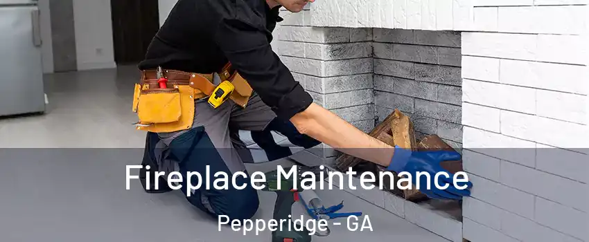 Fireplace Maintenance Pepperidge - GA