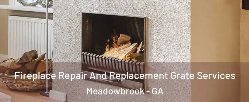 Fireplace Repair And Replacement Grate Services Meadowbrook - GA