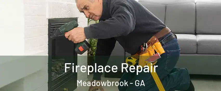 Fireplace Repair Meadowbrook - GA