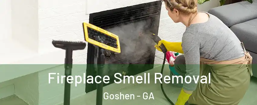Fireplace Smell Removal Goshen - GA