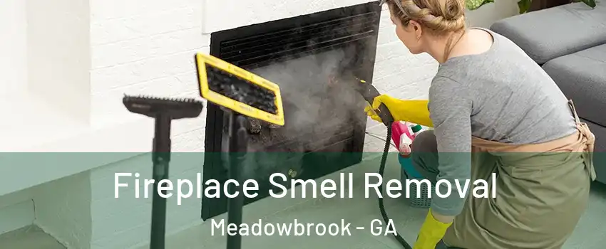 Fireplace Smell Removal Meadowbrook - GA