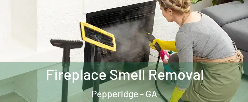 Fireplace Smell Removal Pepperidge - GA