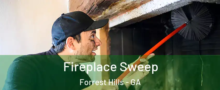 Fireplace Sweep Forrest Hills - GA