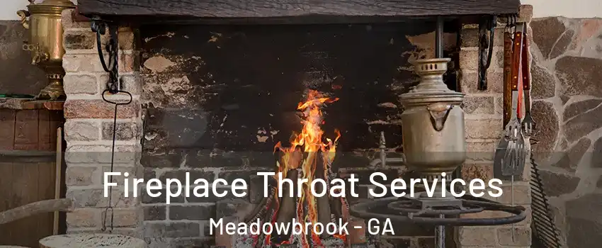 Fireplace Throat Services Meadowbrook - GA