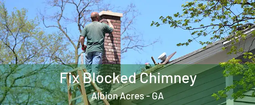 Fix Blocked Chimney Albion Acres - GA