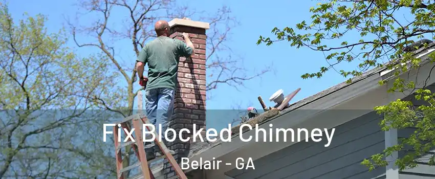 Fix Blocked Chimney Belair - GA